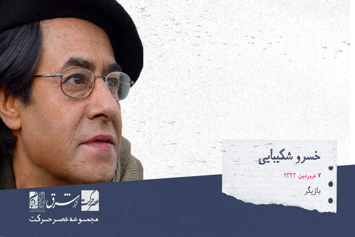 خسرو شکیبایی، دوبلور و هنرپیشه‌ی تئاتر، سینما و تلویزیون‌


