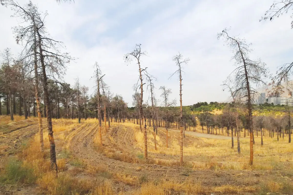 پایان چیتگر؟