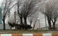 وزش باد شدید و هشدار هواشناسی برای ۱۸ استان