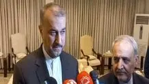 Israel achieved no goals after weeks of genocide in Gaza: FM