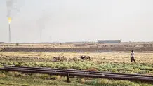 رویگردانی بومی‌ها