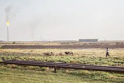 رویگردانی بومی‌ها