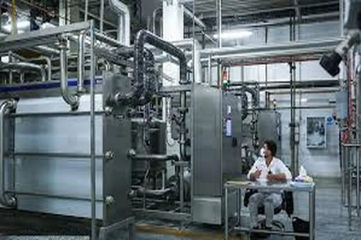 دهه آخر مرداد؛ تولید به خواب زمستانی می‌رود


