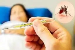 تایید ۱۶ مورد ابتلا به تب دنگی در هرمزگان
