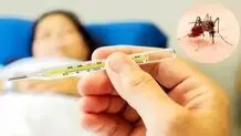 تایید ۱۶ مورد ابتلا به تب دنگی در هرمزگان