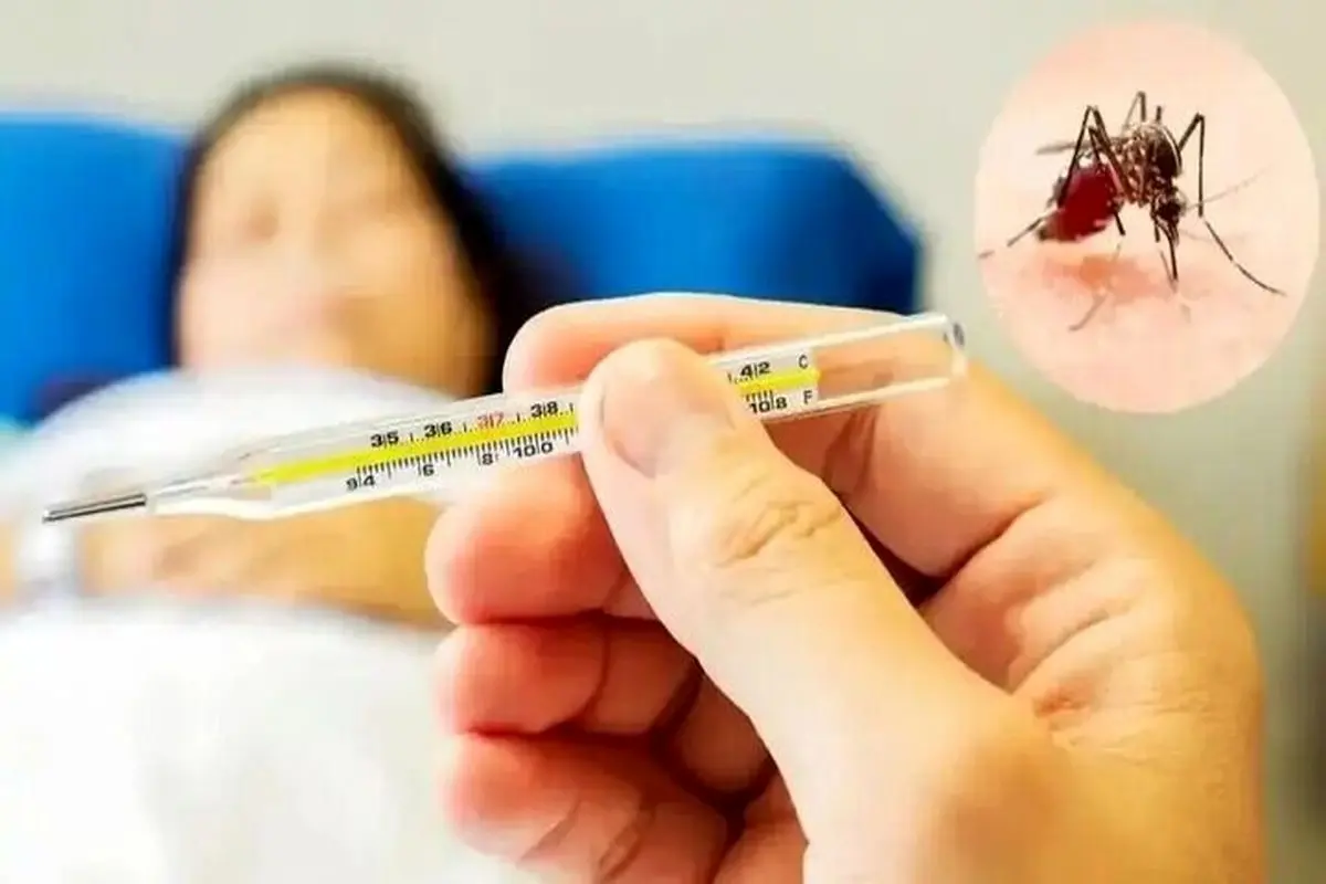 تایید ۱۶ مورد ابتلا به تب دنگی در هرمزگان