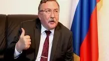 JCPOA revival to be achieved in November: Ulyanov