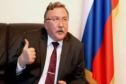 JCPOA revival to be achieved in November: Ulyanov