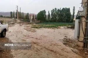 خسارت ۷۰ میلیاردی سیل به مزارع بحنورد
