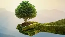نگاهی به پیوند سنت و محیط‌ زیست  در آیین‌های نوروزی
