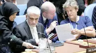 سازمان ملل و صیانت از صلح و امنیت بین‌المللی