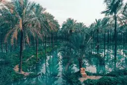 با مستندسفر در کرانه خلیج فارس با جنوب آشنا شوید