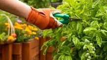پیش بینی کیفیت هوای اصفهان امروز جمعه 20 تیرماه/هوای اصفهان بر مدار نارنجی

