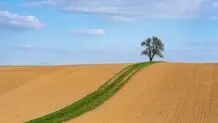 جلوی ویرانی محیط زیست ایران را بگیرید
