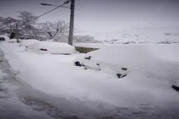 بارش ۶۰ سانتی متری برف در خراسان+ ویدئو