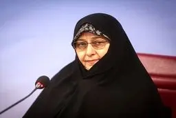  خانواده‌های تک فرزند جامعه را به سیاه چاله‌ می‌کشانند/ویدئو