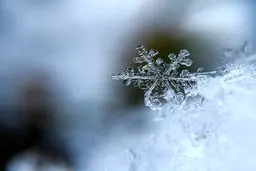 هشدار سرمازدگی محصولات به کشاورزان آذربایجان شرقی