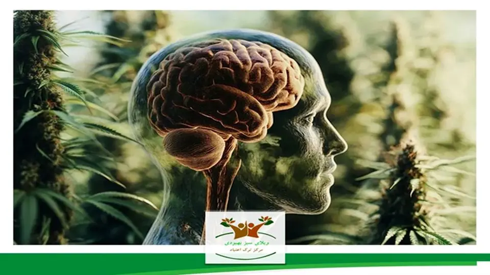 چگونه مصرف گل مغز را نابود میکند؟ راه نجات با مرکز ترک اعتیاد ویلای سبز