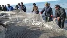 زنگ خطر دریا برای مازندران؛ ذخایر آبزیان رو به کاهش