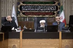  پزشکیان در جلسه امروز شورای نگهبان حضور یافت