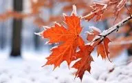 پیش بینی هوای یزد فردا چهارشنبه 10 بهمن/ ماندگاری سرما و یخبندان شبانه