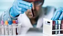 بهترین دمنوش معجزه‌آسا برای کنترل چربی خون
