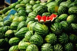 واکنش به ادعای نماینده دومای روسیه درباره هندوانه ایرانی

