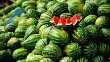 واکنش به ادعای نماینده دومای روسیه درباره هندوانه ایرانی

