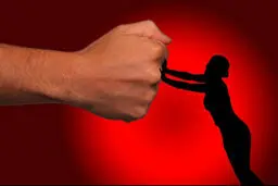 چگونه از خودم در مقابل  خشونت خانگی محافظت کنم؟
