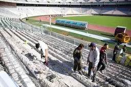 رفاقت دستوری برای آخرین بازمانده!‌