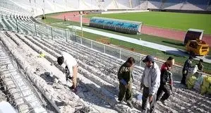 رفاقت دستوری برای آخرین بازمانده!‌