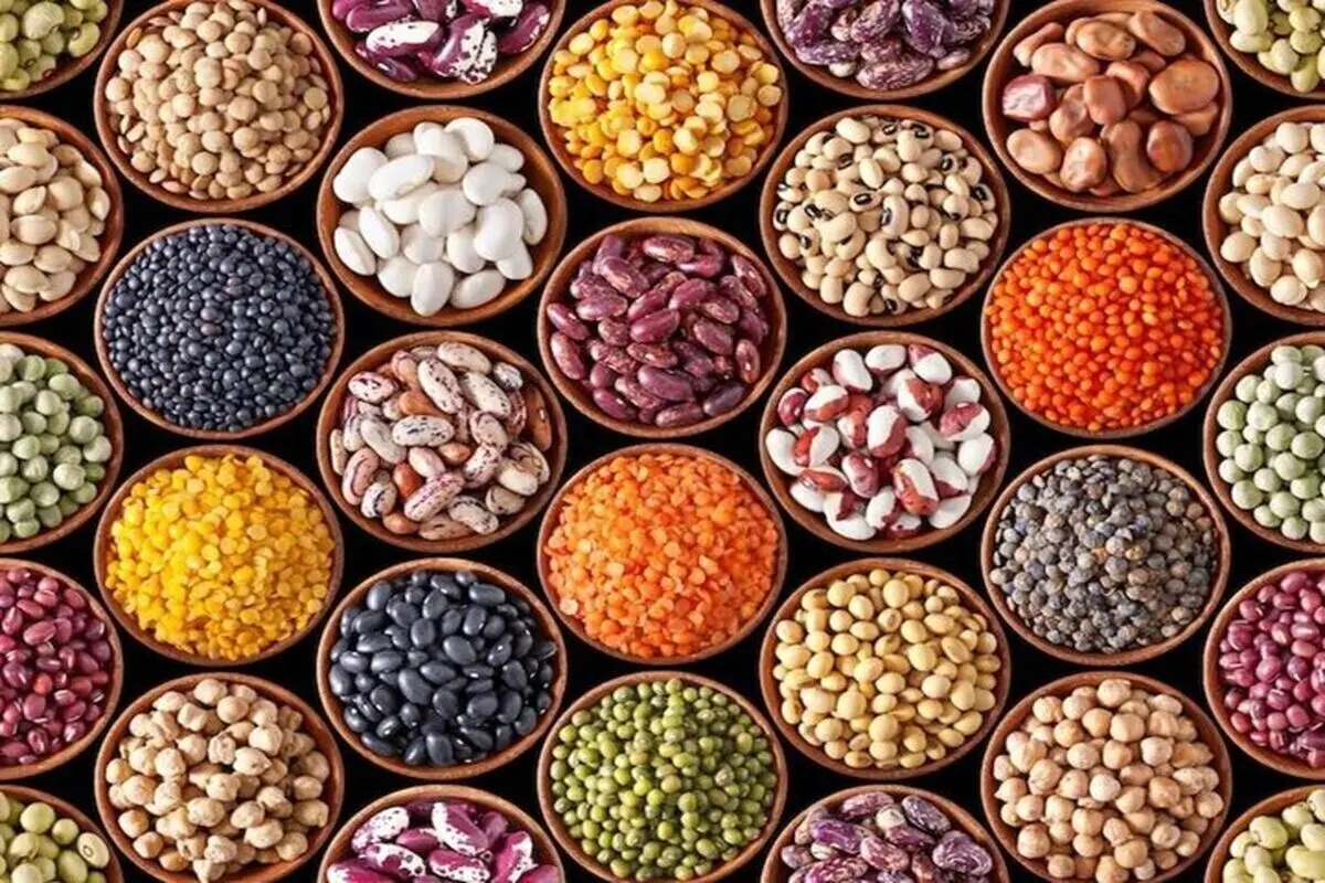 قیمت حبوبات غیر شرکتی در میادین میوه و تره بار تهران اعلام شد
