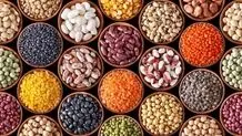 قیمت حبوبات غیر شرکتی در میادین میوه و تره بار تهران اعلام شد