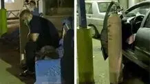 زنده ماندن برای جوانه زدن