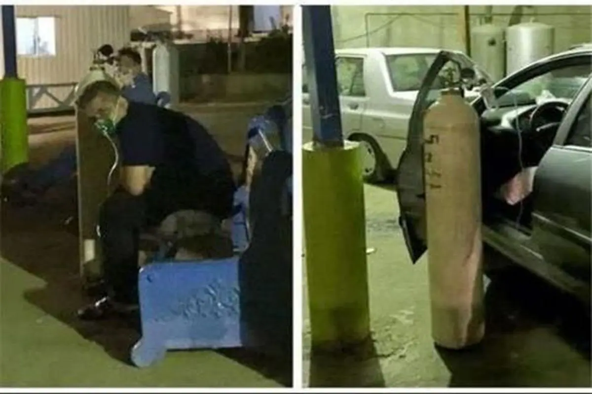 زنده ماندن برای جوانه زدن