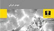 عکس‌های فوری از یک روح سرگردان

