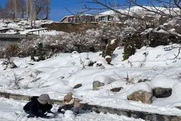 تصاویری از شمشک پس از بارش برف