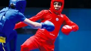 درو طلا با تکواندو و  و وشو

