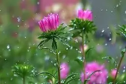 پیش‌بینی هوای همدان؛ جمعه ۸ فروردین ۱۴۰۴