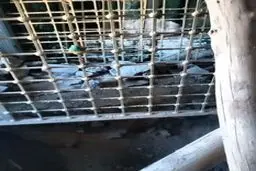 هر جا امامزاده هست، گنج هم هست ؟