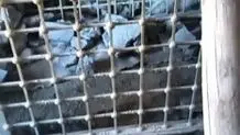 هر جا امامزاده هست، گنج هم هست ؟