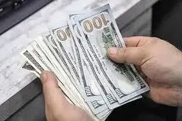 قیمت دلار فردایی؛ چهارشنبه ۱۵ مرداد ۱۴۰۴/ تعدیل قیمت دلار