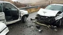 تصادف دلخراش قطار با ۲ توله خرس در مرودشت