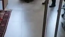 حضور فحاشانه حمید بقایی و همراهانش در روزنامه شرق