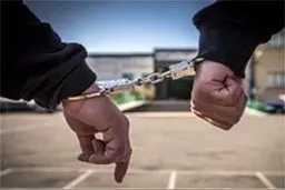 ادعای خیانت همسر در پرونده سرقت