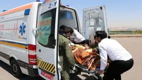 مصدوم شدن ۳۰ نفر در حادثه انحراف از مسیر اتوبوس در محور مهریز-یزد

