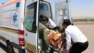 مصدوم شدن ۳۰ نفر در حادثه انحراف از مسیر اتوبوس در محور مهریز-یزد
