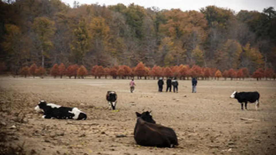 تصاویر هولناک از پاییز خشک مازندران