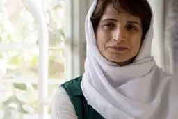  نسرین ستوده بازداشت شد