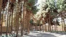 کج‌سلیقگی شهرداری در مدیریت پارک‌های جنگلی شهری
